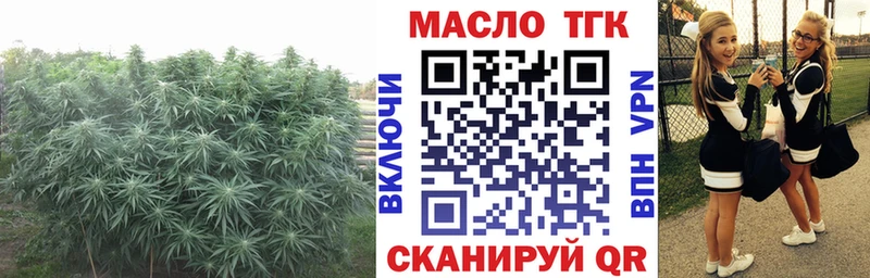 Дистиллят ТГК концентрат  нарко площадка Telegram  Ветлуга 