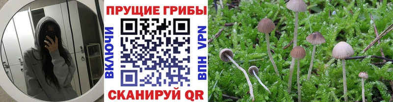 Галлюциногенные грибы ЛСД Ветлуга